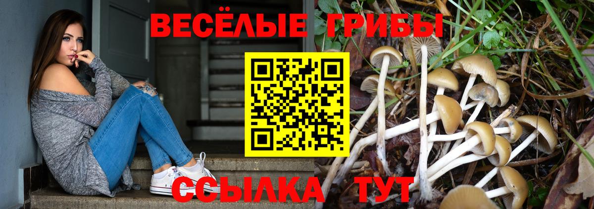 Галлюциногенные грибы Cubensis Гусь-Хрустальный