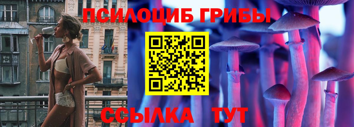 Галлюциногенные грибы Cubensis  Псилоцибиновые грибы Psilocybine cubensis  Гусь-Хрустальный  Вход с VPN 